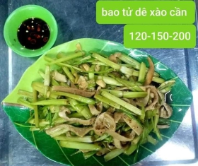 BAO TỬ DÊ XÀO CẦN